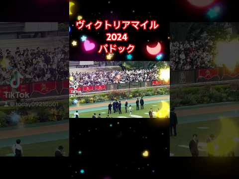 ヴィクトリアマイル2024パドック #競馬予想 #ウンブライル #ナミュール #マスクトディーヴァ #shorts