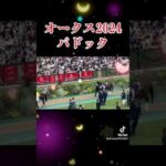 オークス2024パドック #競馬予想 #ステレンボッシュ #チェルヴィニア #shorts