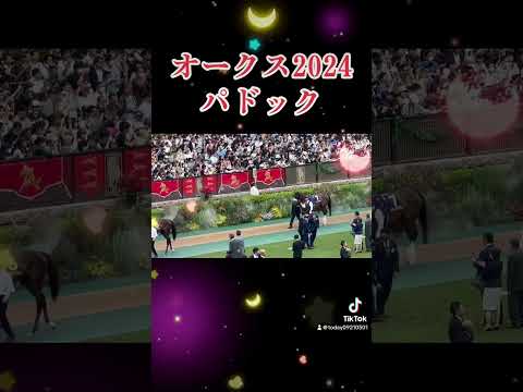 オークス2024パドック #競馬予想 #ステレンボッシュ #チェルヴィニア #shorts