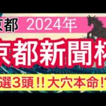 【京都新聞杯2024】競馬予想(直近競馬予想10戦8的中)