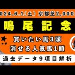 【鳴尾記念2024】過去データ9項目解析!!買いたい馬3頭と消せる人気馬1頭について(競馬予想)