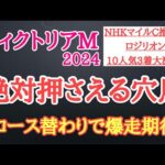 【ヴィクトリアマイル2024】厳選穴馬予想！Bコース替わりで有力馬に一泡吹かせる可能性がある2頭を公開！