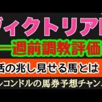 エルコンドル氏のヴィクトリアマイル2024一週前調教評価！！マスクトディーヴァは悲願G1制覇へ万全か！あの実力馬の動きに復調の予感が？！