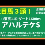 【2024競馬予想】アハルテケS｜タマモロックが得意舞台で昇級初戦から通用の予感！？