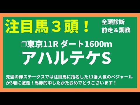 【2024競馬予想】アハルテケS｜タマモロックが得意舞台で昇級初戦から通用の予感！？