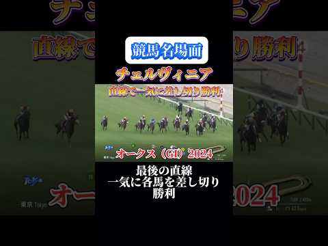 【競馬】チェルヴィニア【オークス2024】#shorts #競馬 #チェルヴィニア #オークス#競馬予想はショート動画に #東京競馬場