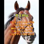 5/11.12 重賞予想！ #中央競馬 #競馬 #競馬予想 #スポーツ #g1 #ヴィクトリアマイル #京王杯スプリングカップ #京都HJ #京王杯SC