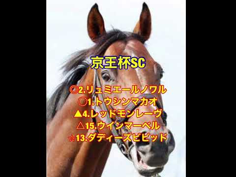 5/11.12 重賞予想！ #中央競馬 #競馬 #競馬予想 #スポーツ #g1 #ヴィクトリアマイル #京王杯スプリングカップ #京都HJ #京王杯SC