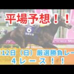 【平場競馬予想】5月12日の厳選競馬予想4レース！