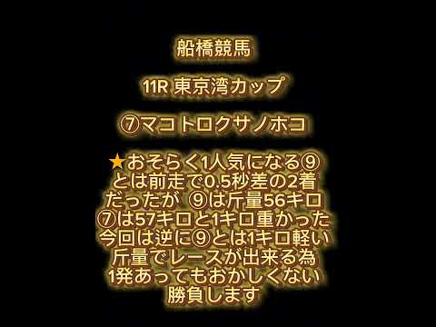 5月2日地方競馬(園田 門別 船橋)競馬予想!!東京湾カップ他