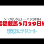 5月29日船橋競馬【全レース予想】2024若潮スプリント