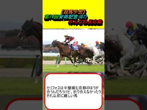 【競馬予想】第74回安田記念G1 みんなの反応集 #競馬 #競馬競馬 #ソウルラッシュ #ロマンチックウォリアー #セリフォス #ナミュール #パラレルヴィジョン #モレイラ #ルメール #武豊