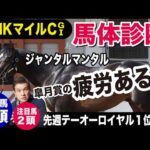 【NHKマイルカップ2024】中村均元調教師が馬体診断　ジャンタルマンタル激走皐月賞の反動は？　有力馬５頭＋注目馬２頭を徹底解説《東スポ競馬ニュース》