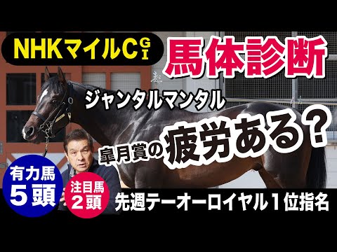 【NHKマイルカップ2024】中村均元調教師が馬体診断　ジャンタルマンタル激走皐月賞の反動は？　有力馬５頭＋注目馬２頭を徹底解説《東スポ競馬ニュース》