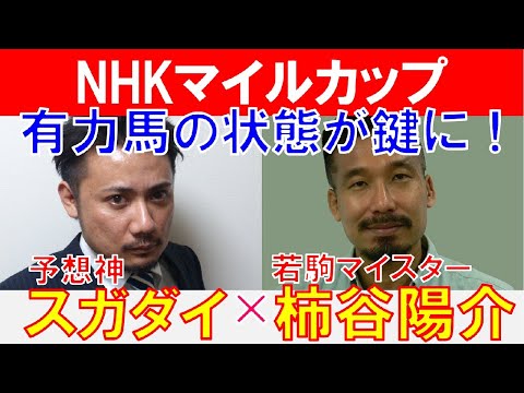 【NHKマイルカップ2024】有力馬の状態が鍵！若駒マイスター「柿谷陽介」×「スガダイ」の注目馬大公開！