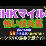 エルコンドル氏のNHKマイルカップ2024怖い伏兵馬！！伏兵馬に根拠と理屈はいらない！エルコンドルが面白いと思う伏兵馬3頭を紹介！