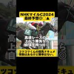 【絞って的中狙う】NHKマイルC2024 #shorts  #競馬予想