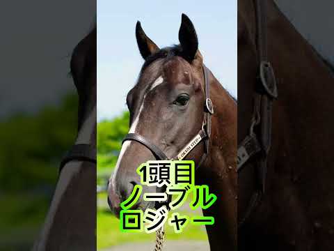 NHKマイルC2024！絶対買う穴馬4頭！#shorts #競馬 #競馬予想 #中央競馬 #ウマ娘 #ウマ娘プリティーダービー #nhkマイルカップ