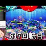 Pスーパー海物語IN沖縄5【沖海5】パチンコライブ配信 海物語ライブ生配信 こあげホール実践実機配信 『こあげ ++365 海物語Live』