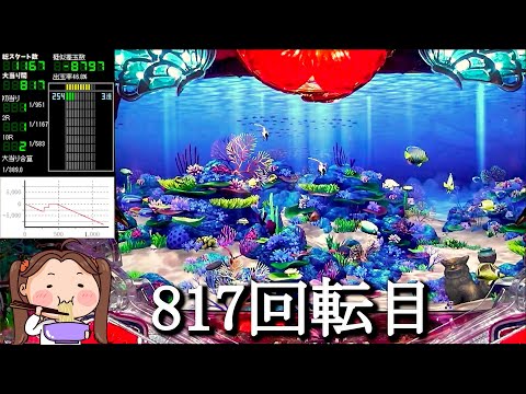 Pスーパー海物語IN沖縄5【沖海5】パチンコライブ配信 海物語ライブ生配信 こあげホール実践実機配信 『こあげ ++365 海物語Live』