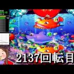 Pスーパー海物語IN沖縄5【沖海5】パチンコライブ配信 海物語ライブ生配信 こあげホール実践実機配信 『こあげ ++384 海物語Live』