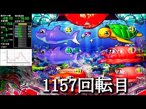 Pスーパー海物語IN沖縄5【沖海5】パチンコライブ配信 海物語ライブ生配信 こあげホール実践実機配信 『こあげ ++389 海物語Live』