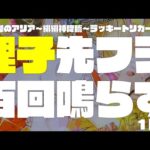 【P緋弾のアリア～緋緋神降臨～ラッキートリガーVer.】先フラ１００回鳴かせる【パチンコ】