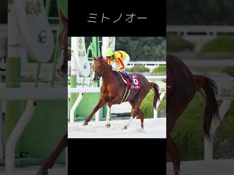 平安S消去データ　#平安ステークス #競馬予想 #競馬