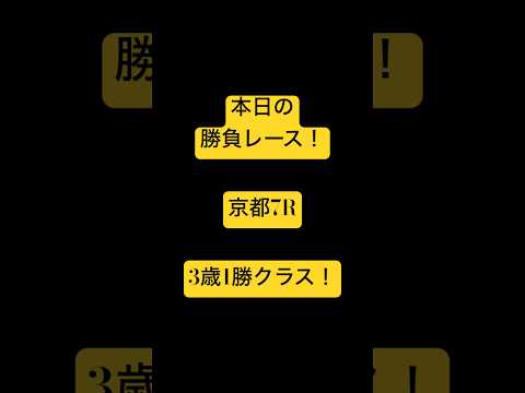 本日の勝負レース！　#競馬　#競馬予想　#ギャンブル　#boxing #ufc #golfer  #jra