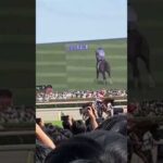 後にダービー馬となるダノンデサイル #競馬 #競馬予想 #short #shorts