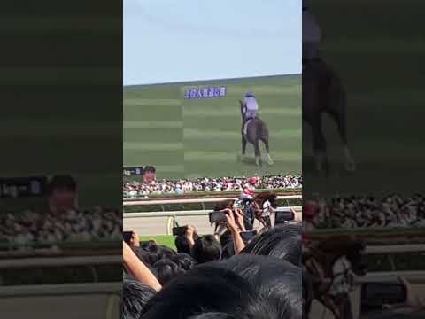 後にダービー馬となるダノンデサイル #競馬 #競馬予想 #short #shorts