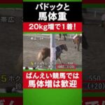 【ばんえい競馬予想入門】パドックと馬体重 #shorts #競馬 #ばんえい競馬