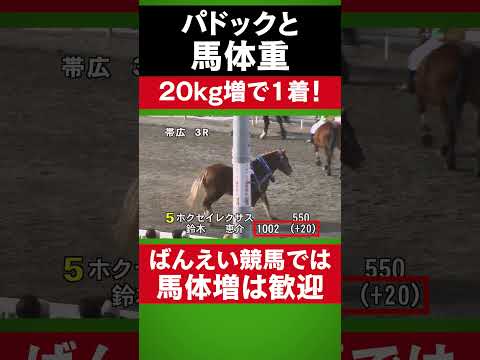 【ばんえい競馬予想入門】パドックと馬体重 #shorts #競馬 #ばんえい競馬