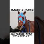 【クルクル】ハクサンムーン雑学#shorts #競馬 #競馬予想 #ハクサンムーン #酒井学