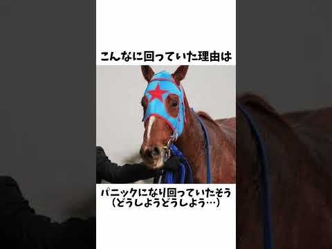 【クルクル】ハクサンムーン雑学#shorts #競馬 #競馬予想 #ハクサンムーン #酒井学