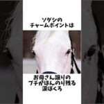 【純白の怪物】ソダシの面白エピソード#shorts #競馬予想 #競馬 #ソダシ #ゴールドシップ