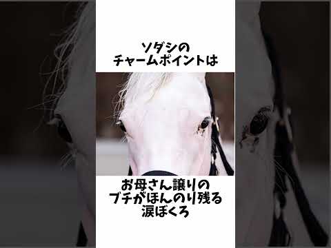 【純白の怪物】ソダシの面白エピソード#shorts #競馬予想 #競馬 #ソダシ #ゴールドシップ