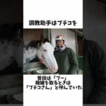 【ぶち壊す】ブチコの面白エピソード#shorts #競馬予想 #競馬 #ソダシ