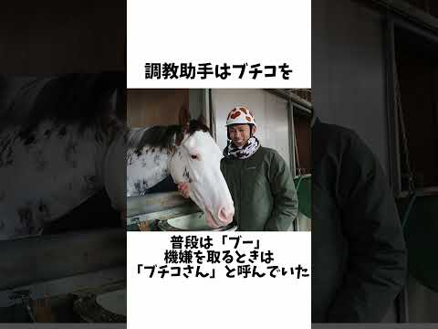 【ぶち壊す】ブチコの面白エピソード#shorts #競馬予想 #競馬 #ソダシ