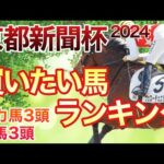 【京都新聞杯】想定１１人気？！面白い穴馬がいます。