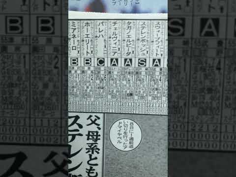 競馬予想🏇オークス　○南アフリカの都市　◎ベル