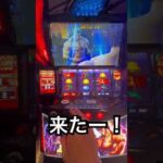 【スマスロ北斗の拳】トキ参戦からの無想転生チャンス #パチスロ