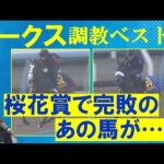 「うまく立て直した！」二冠を狙うステレンボッシュの前にライバルが！？競馬エイト・高橋賢司トラックマンの調教解説＜オークス(ＧⅠ)＞