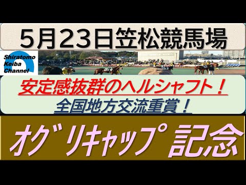 【競馬予想】オグリキャップ記念！～２０２４年５月２３日 笠松競馬場 ：５－４１