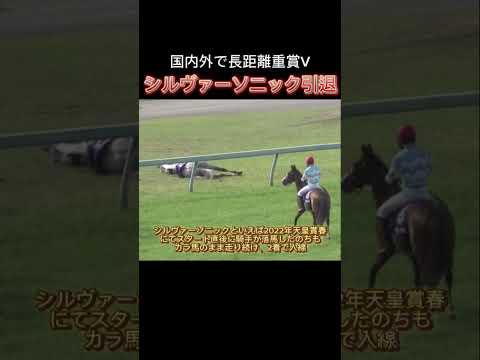 シルヴァーソニック号、引退へ#競馬 #競馬予想 #シルヴァーソニック#天皇賞