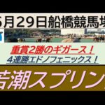 【競馬予想】若潮スプリント！～２０２４年５月２９日 船橋競馬場 ：５－４８