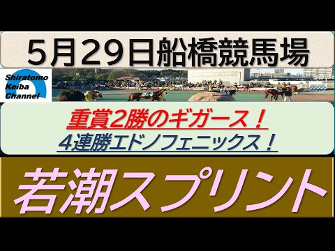 【競馬予想】若潮スプリント！～２０２４年５月２９日 船橋競馬場 ：５－４８