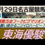 【競馬予想】東海優駿！～２０２４年５月２９日 名古屋競馬場 ：５－４９