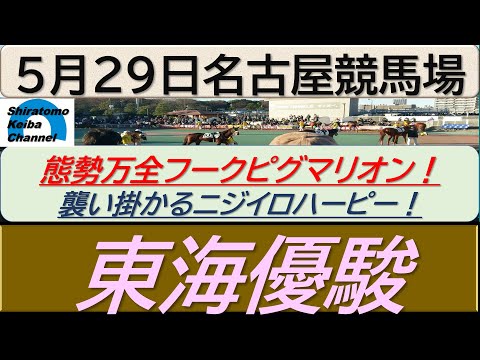 【競馬予想】東海優駿！～２０２４年５月２９日 名古屋競馬場 ：５－４９