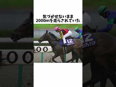 【美しき、速さ】グランアレグリアのエピソード#競馬 #競馬予想 #グランアレグリア